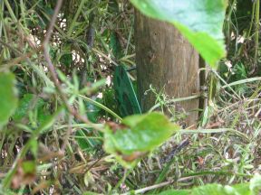 Greenwich Meridian Marker; England; Lincolnshire; Hareby